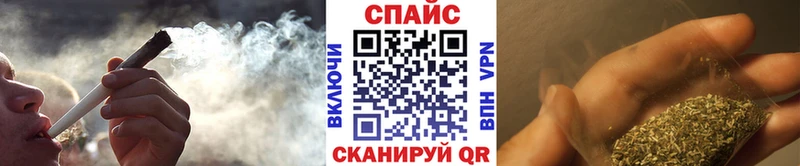 shop Telegram  Звенигово  Бутират BDO 33% 