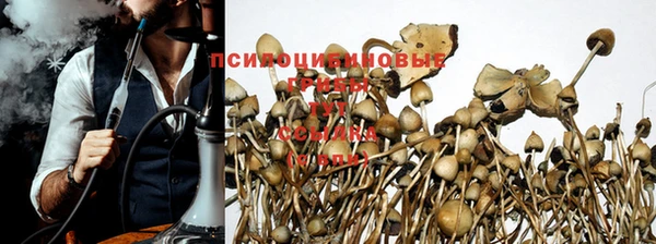 PSILOCYBIN Дмитров
