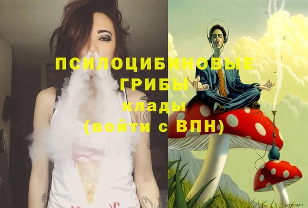 PSILOCYBIN Дмитров