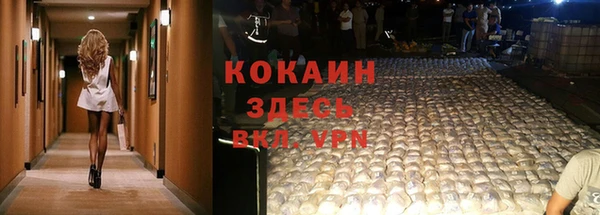 меф Дмитриев