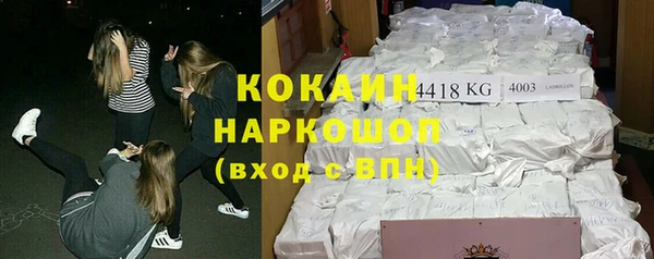 меф Дмитриев