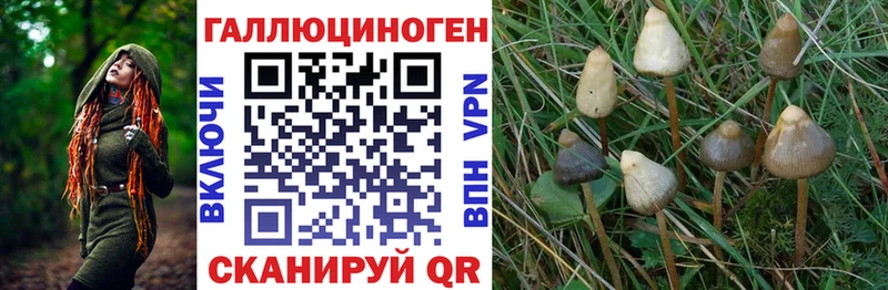 Галлюциногенные грибы MAGIC MUSHROOMS  наркота  мориарти как зайти  Звенигово 