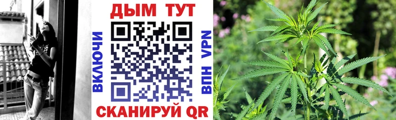 ссылка на мегу ТОР  darknet телеграм  Канабис план  Звенигово 
